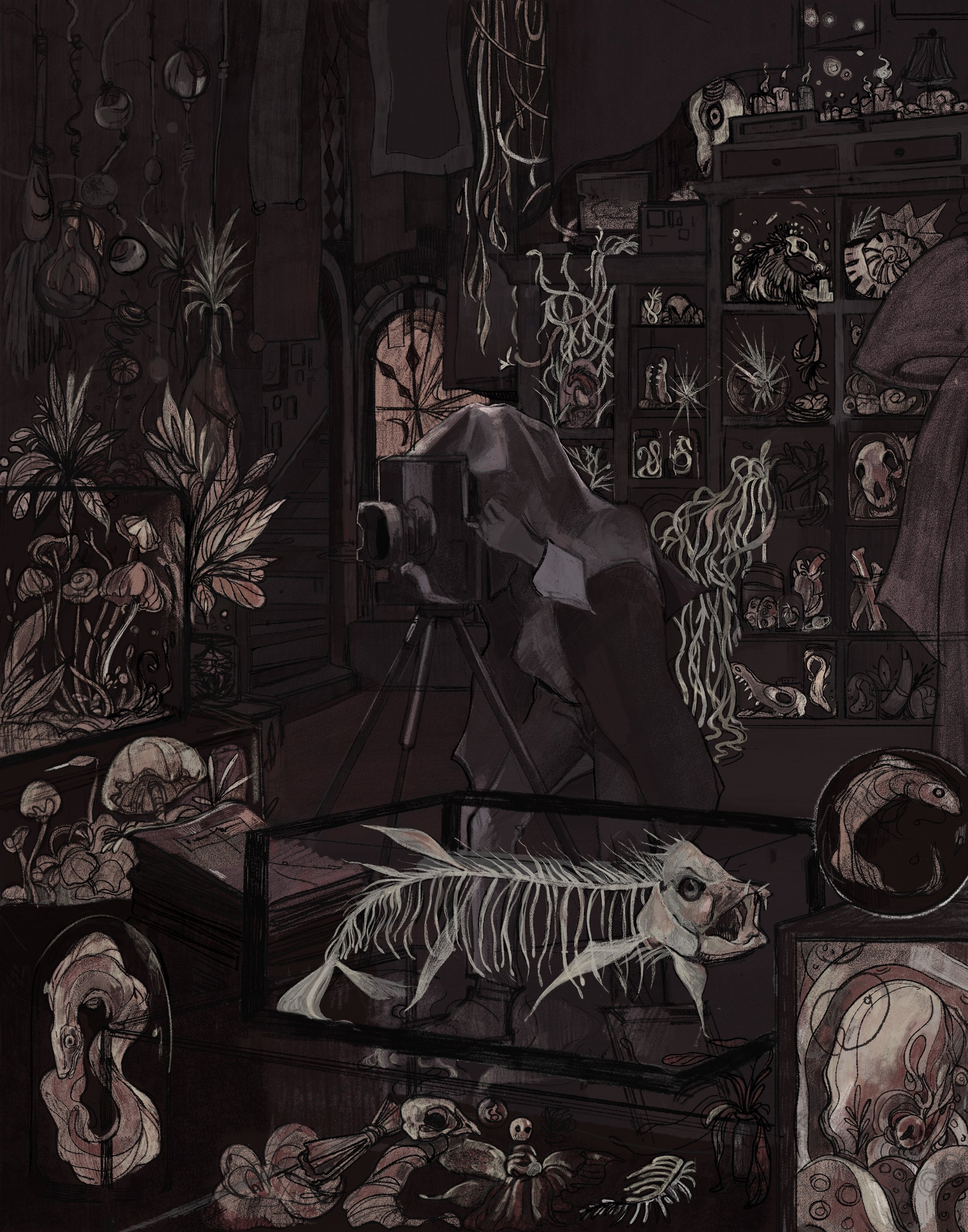 Alice Hoffman, The Museum of Extraordinary Things