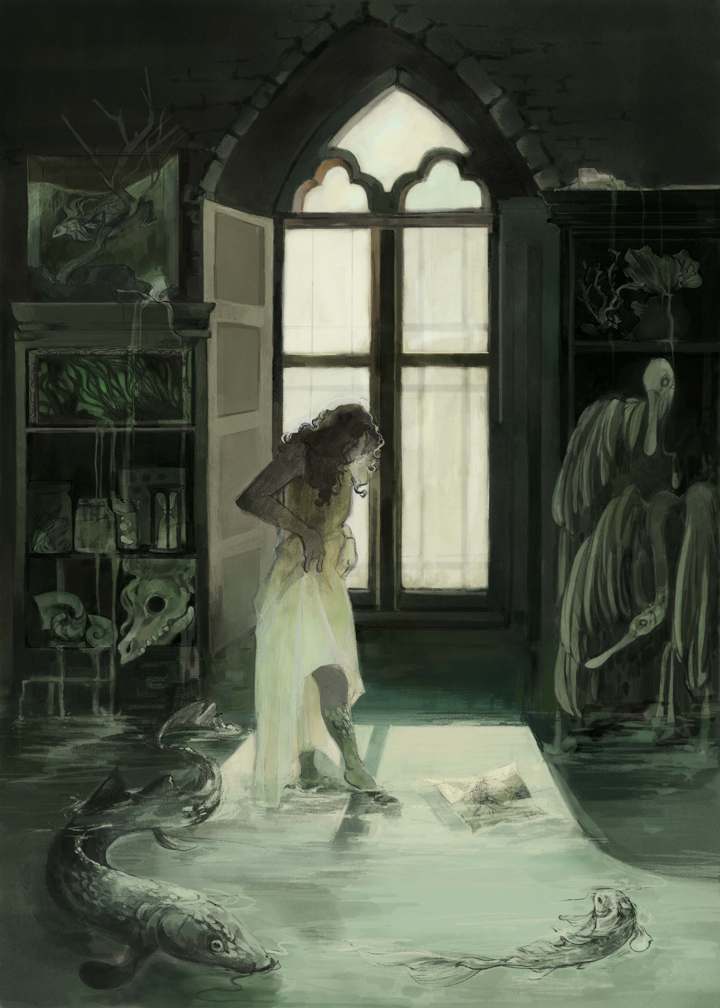 Alice Hoffman, “The Museum of Extraordinary Things”