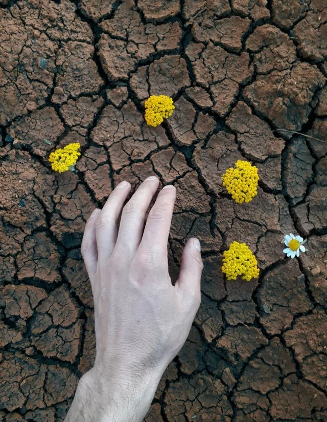 The image of parched land to accompany a blog post about neuroqueer double masking burnout