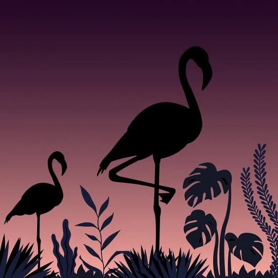 Flamingo-sizes-02-570x570.jpg