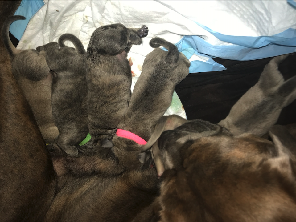 Screen Shot 2022-04-13 at 5.17.02 PM.png