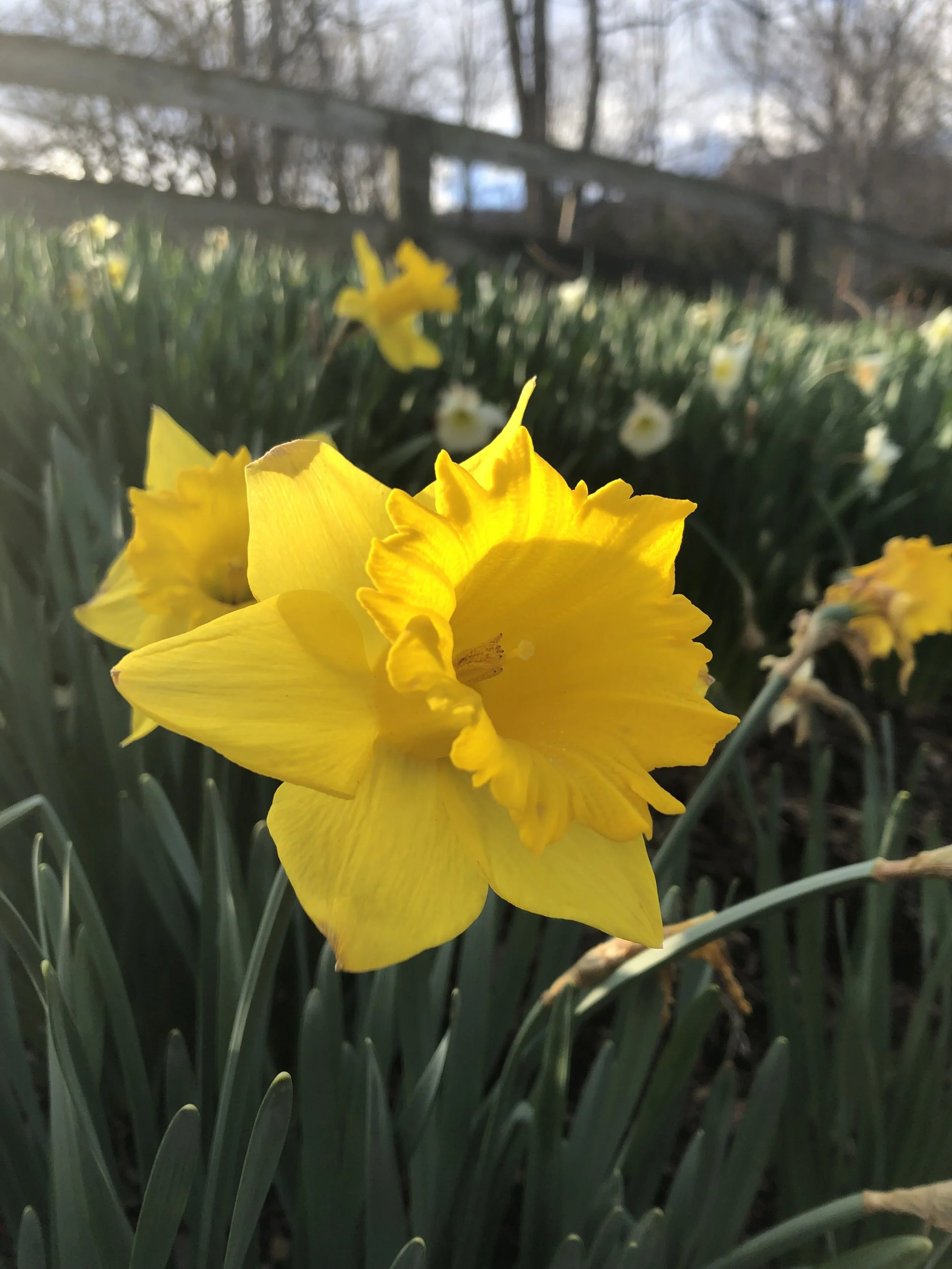 Show Up for the Small Stuff