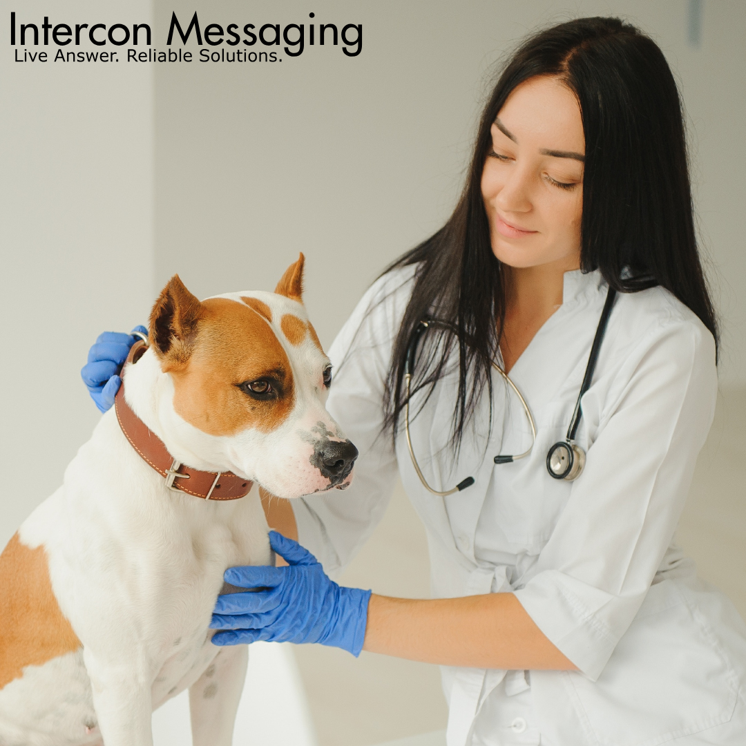 Why Businesses Trust Us for Emergency Dispatch and Monitoring