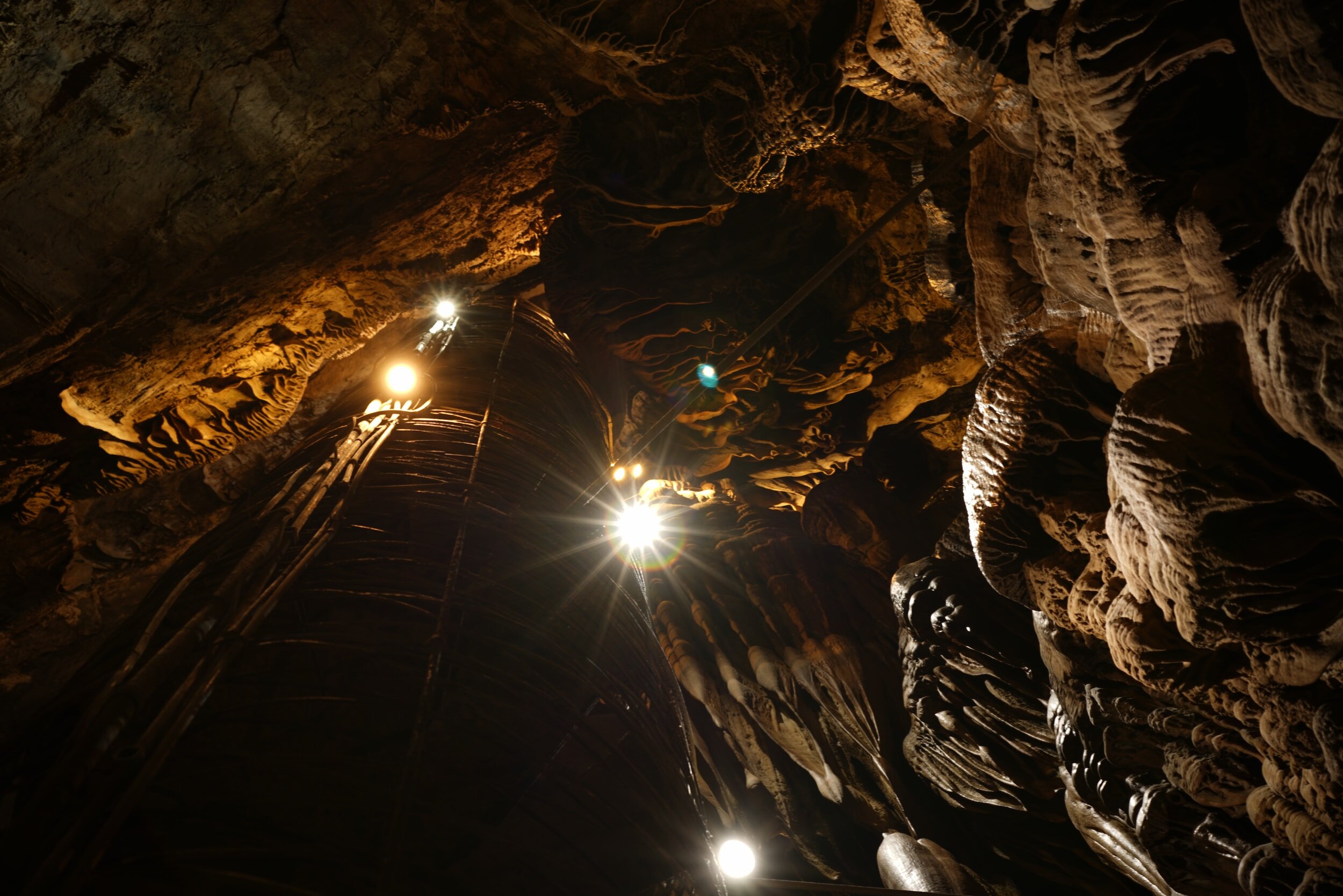 Caverns Cultural Celebration