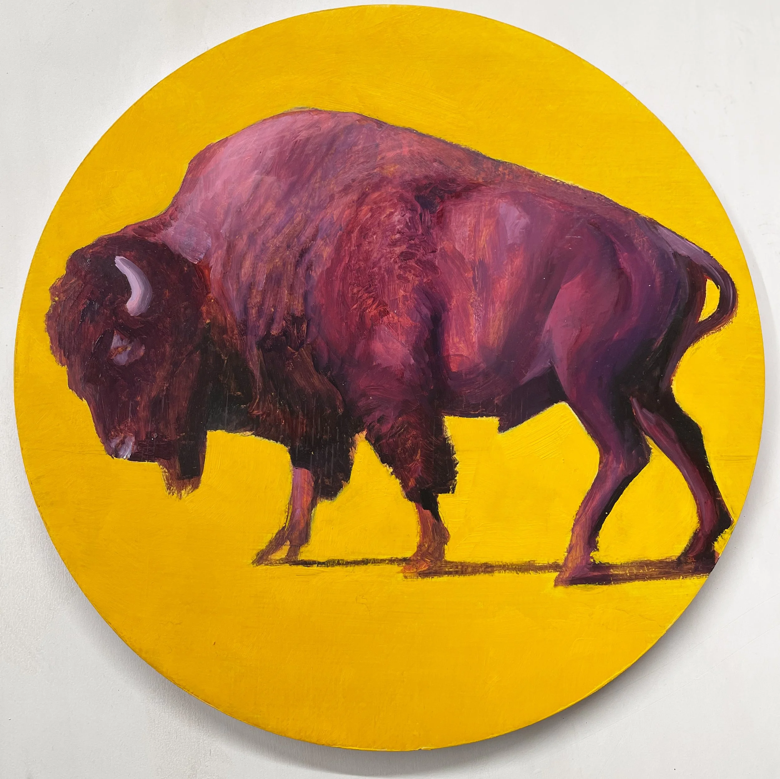 Purple Bison