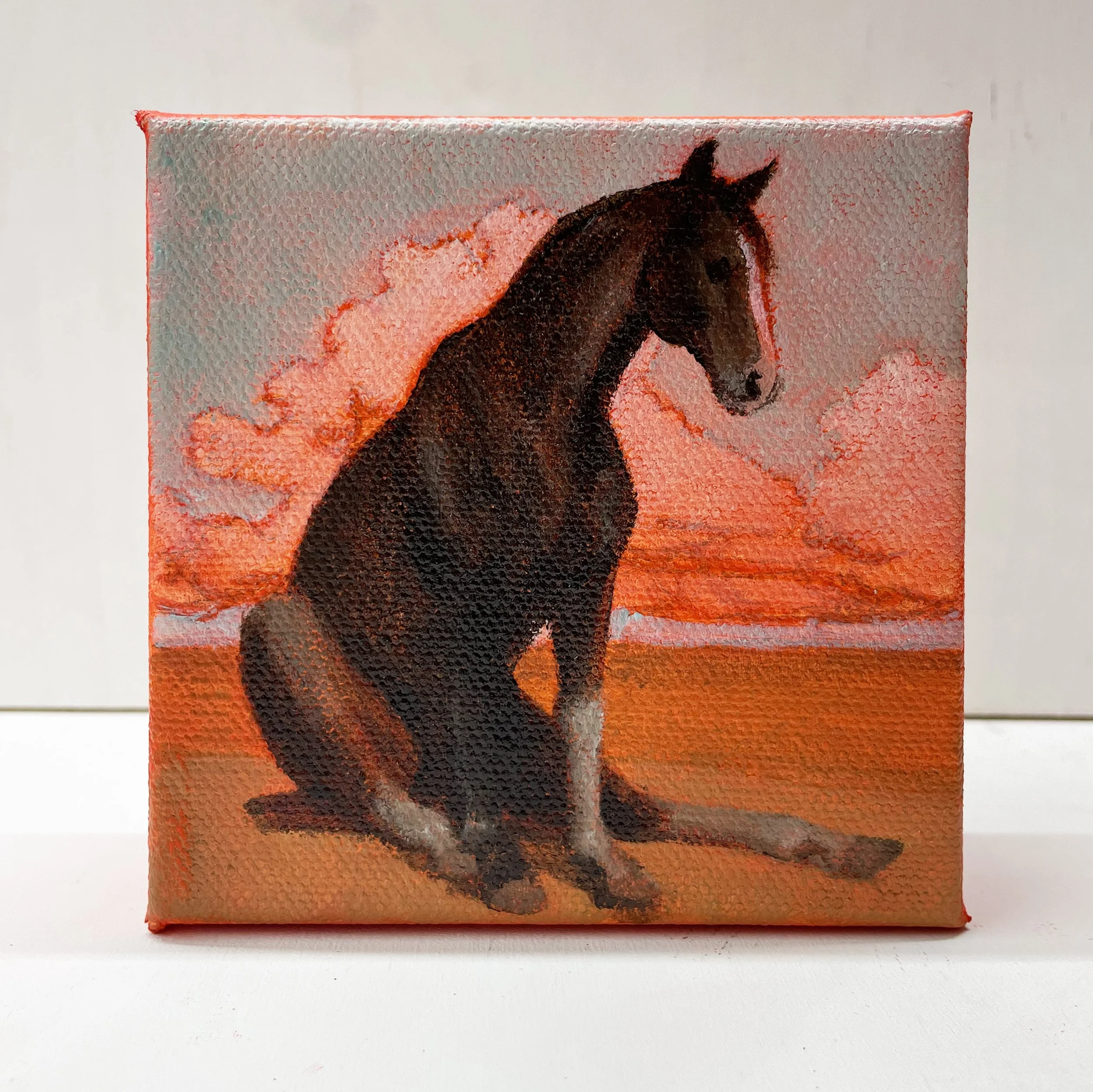 Dec 13 Sit, Boy front.jpg