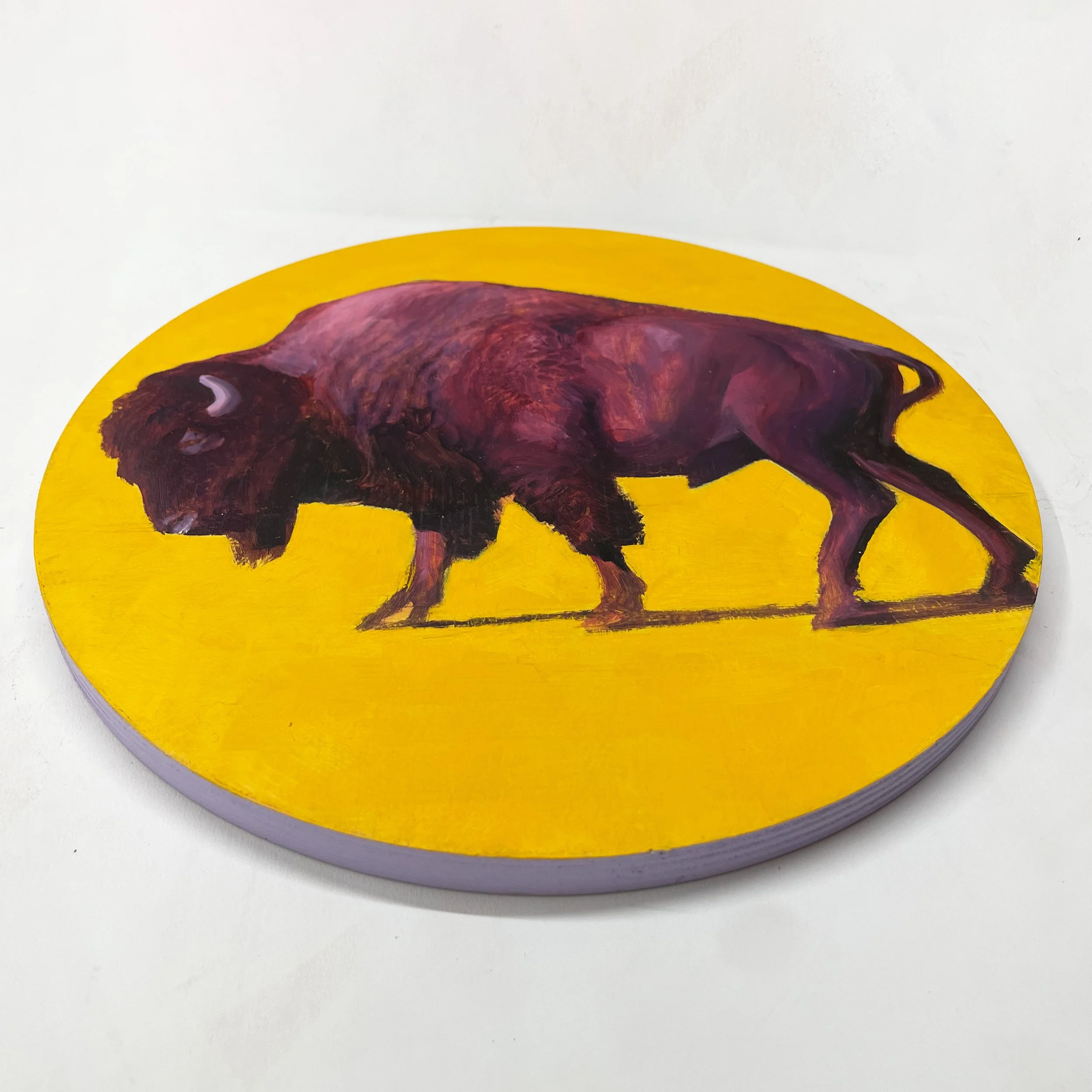 Day 10 Purple Bison below.jpg