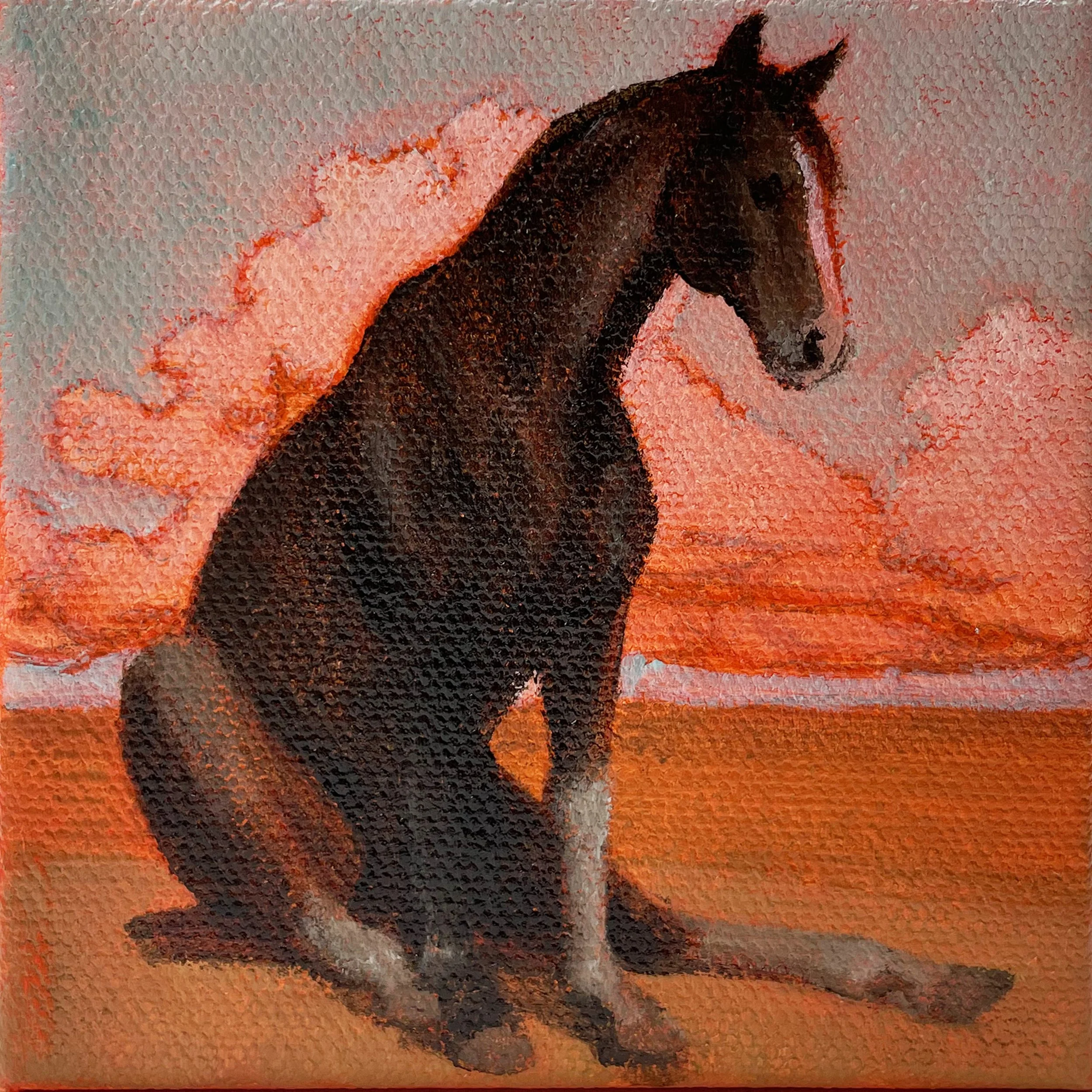 Dec 13 Sit, Boy cropped.jpg