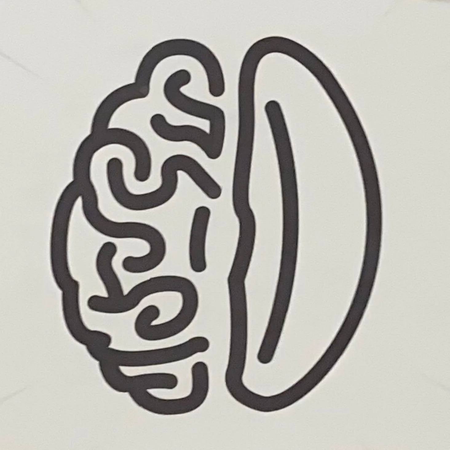 Outline of a human brain on the left side and a capsule pill on the right side.