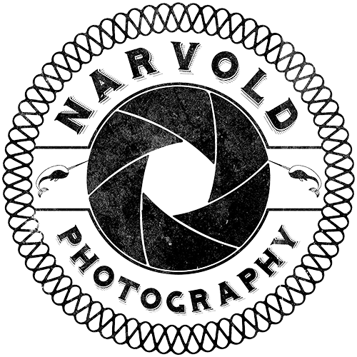 Logo for Navarro Photography featuring a camera shutter icon, surrounded by a decorative border and the words "Navarro Photography."