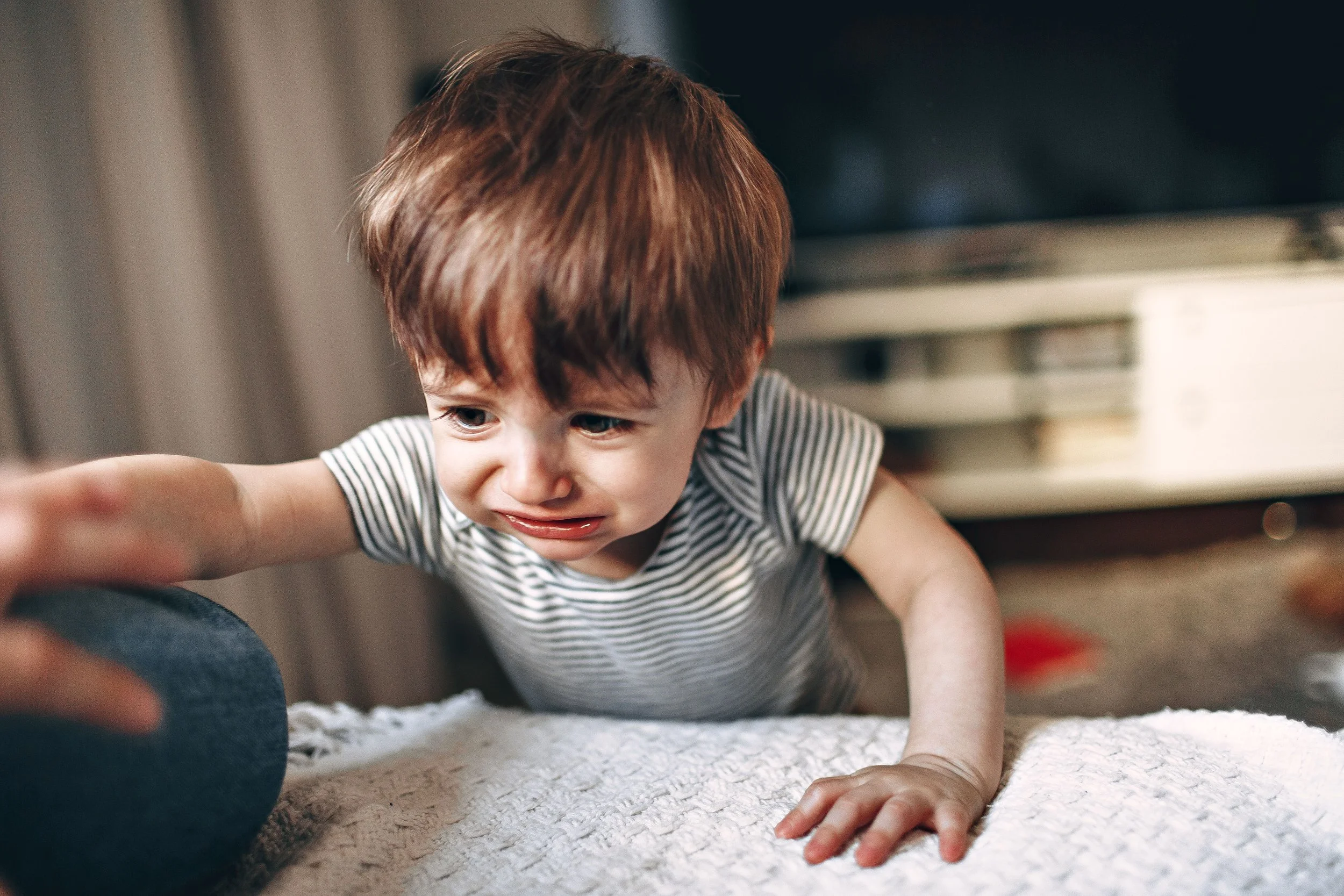 Toddler Social-Emotional Development: Why Emotional Skills Matter More Than Early Academics