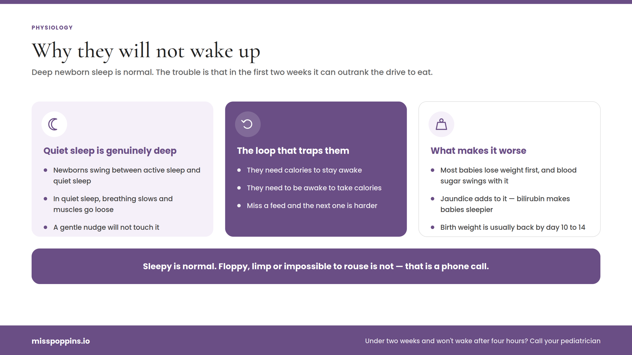 Why Your Newborn Won't Wake Up to Feed (The Physiology of Infant Sleep)