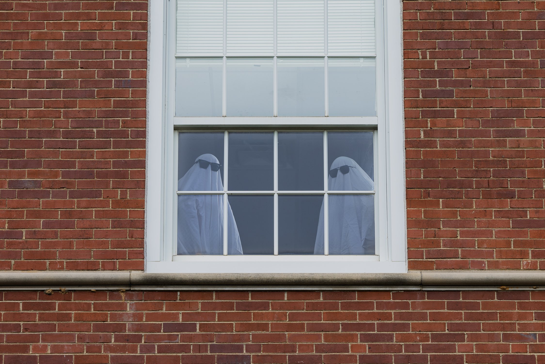 HALLOWEEN SOCIAL MEDIA PROJECT