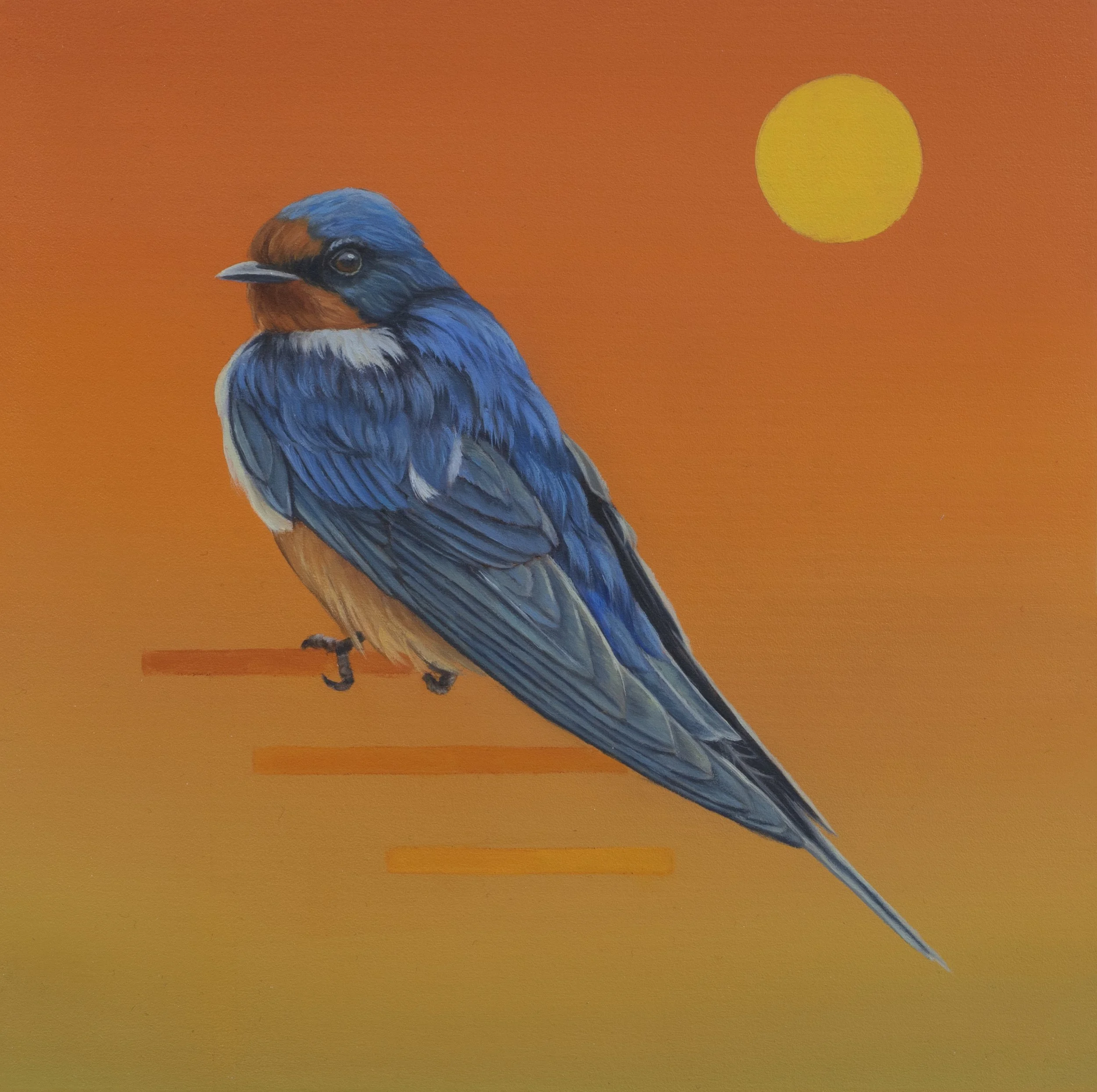 Barn Swallow, oil on wood panel, 8x8"