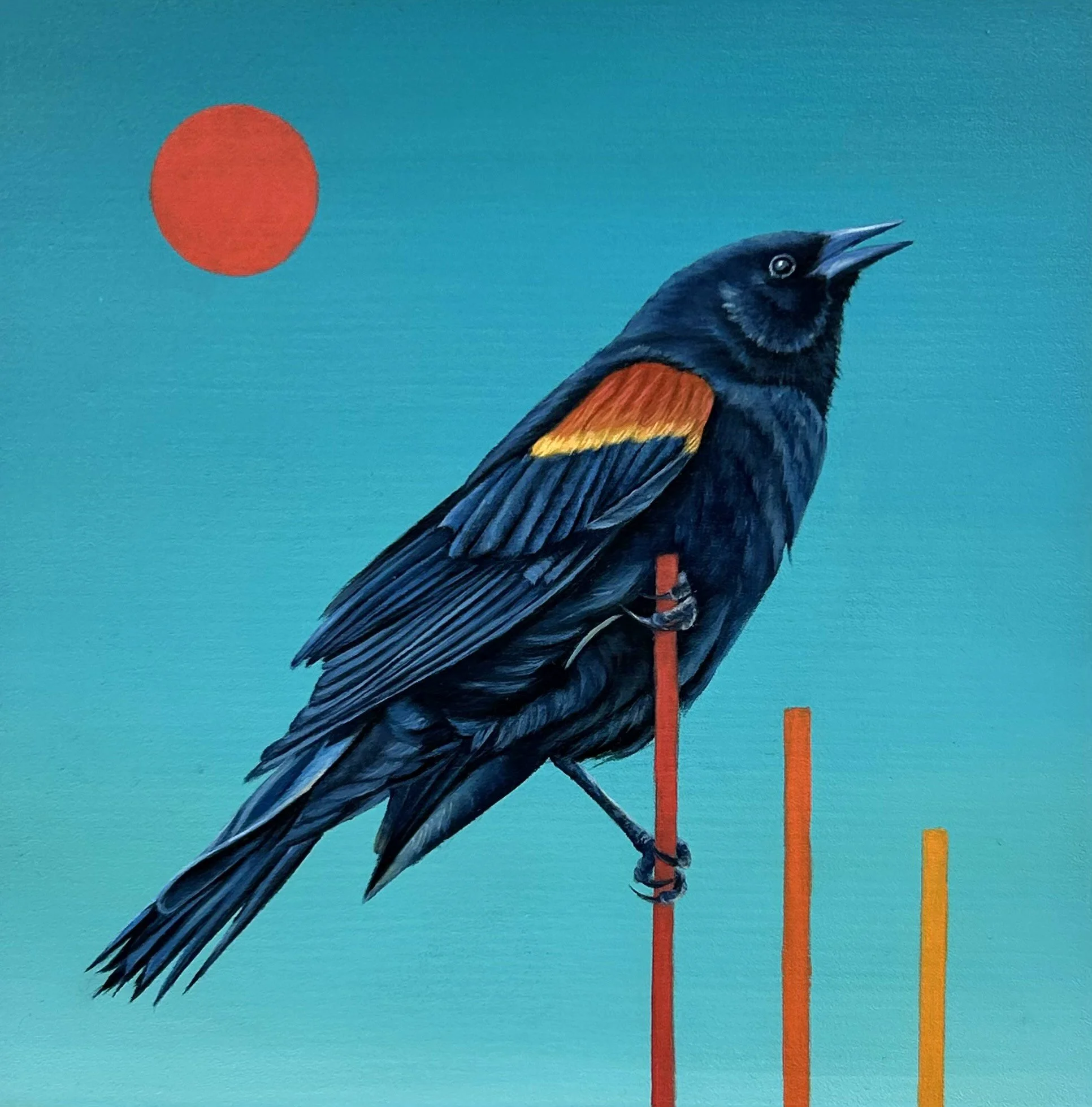 Red Winged Black Bird, oil on wood panel, 8x8"