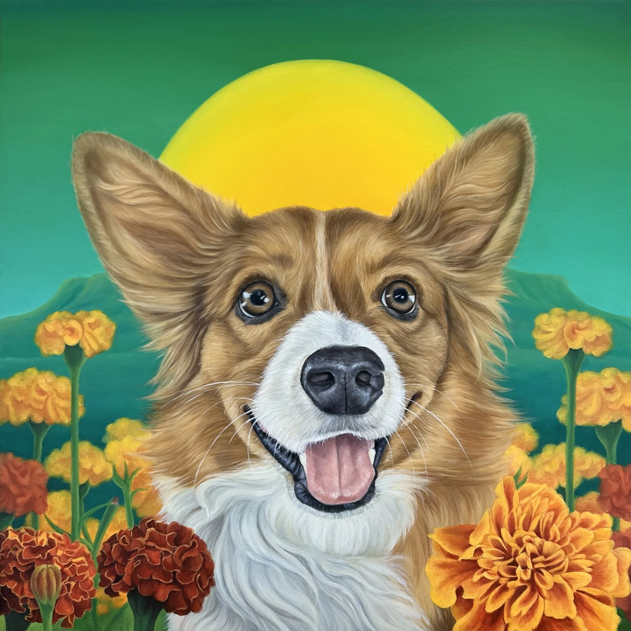 Corgie_Dog_Portrait.jpg
