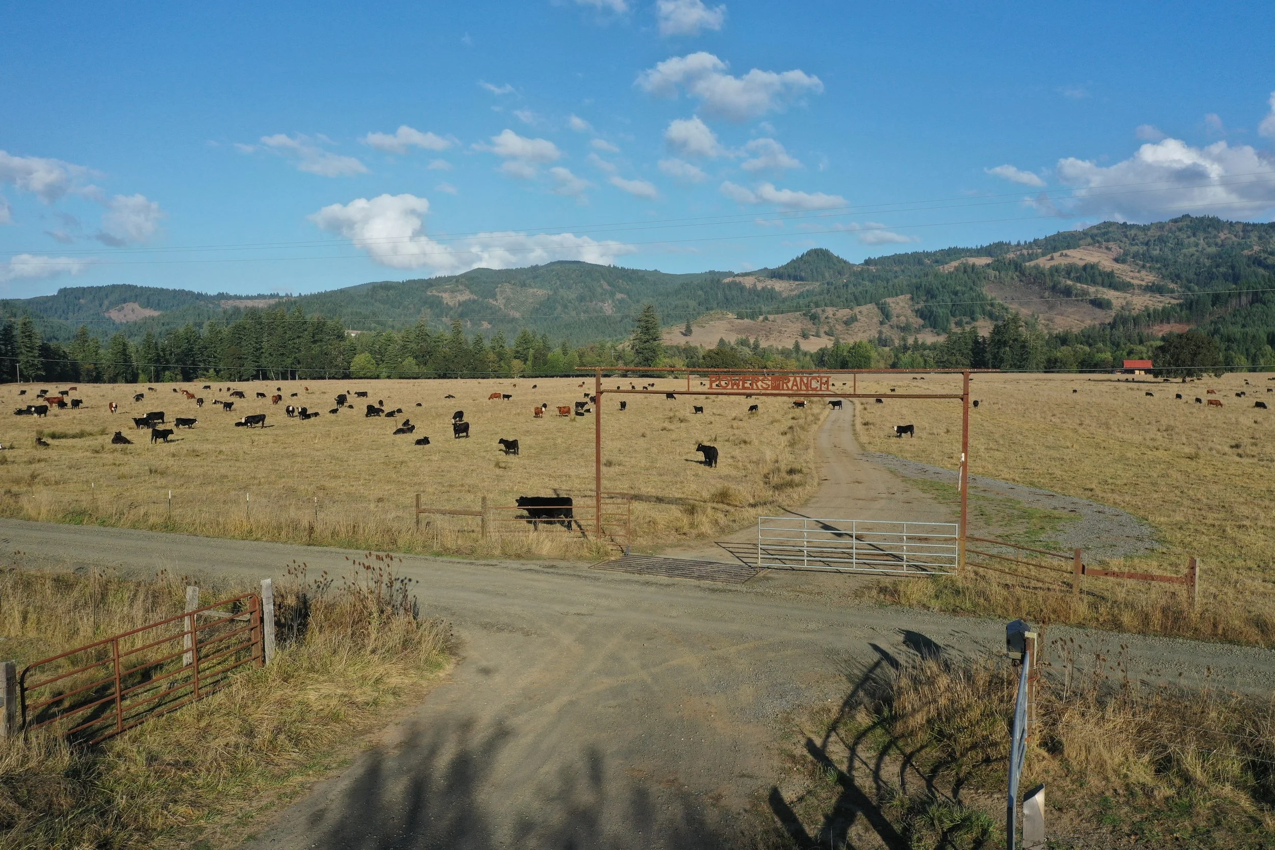 Fall Airstrip Pasture.JPG