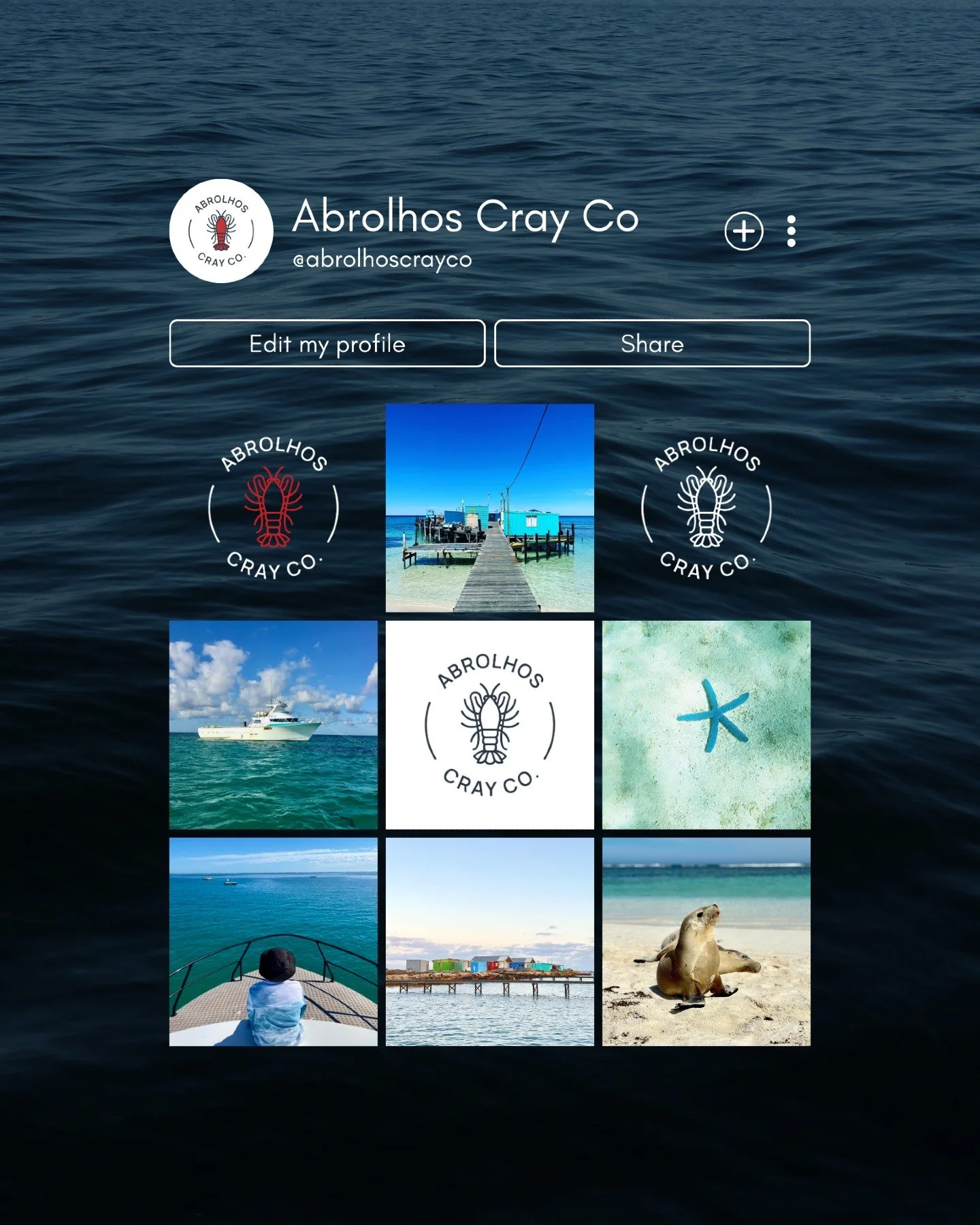 Introducing the new Abrolhos Cray Co logo ~ inspired by the crystal clear waters of the Abrolhos Islands and the iconic Western Rock Lobster.

Crafted with a deep understanding of the industry and region, this clean, coastal visual identity has been 