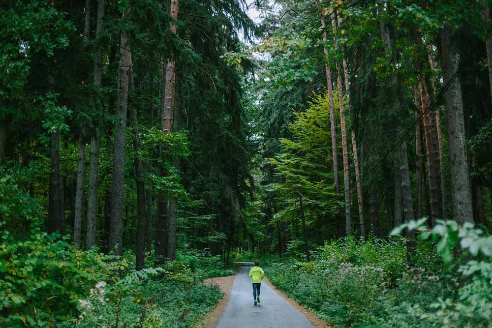 Reconnecting with Nature Exercise for Health, Fitness, and Longevity