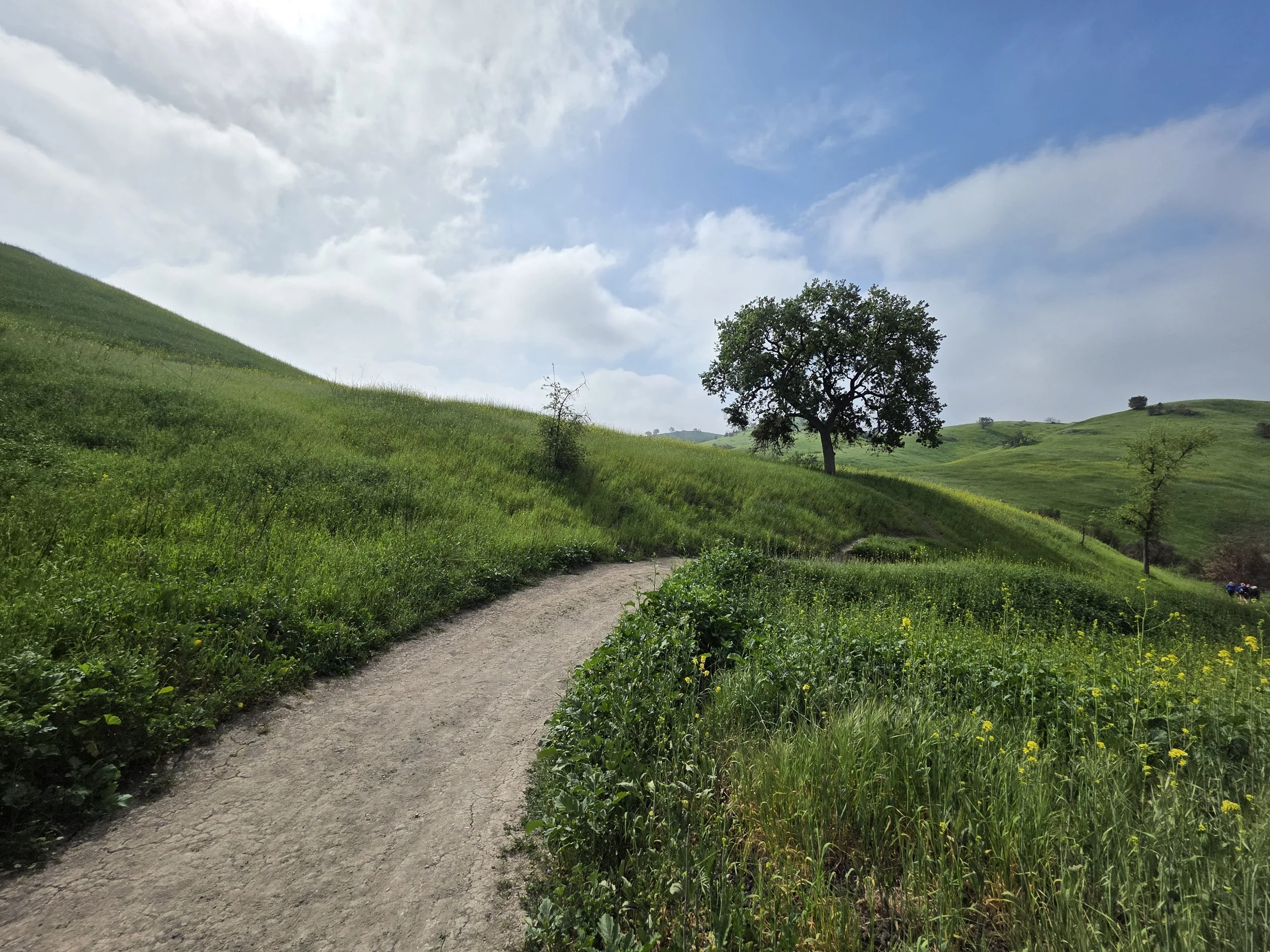 Morning Hike and Picnic