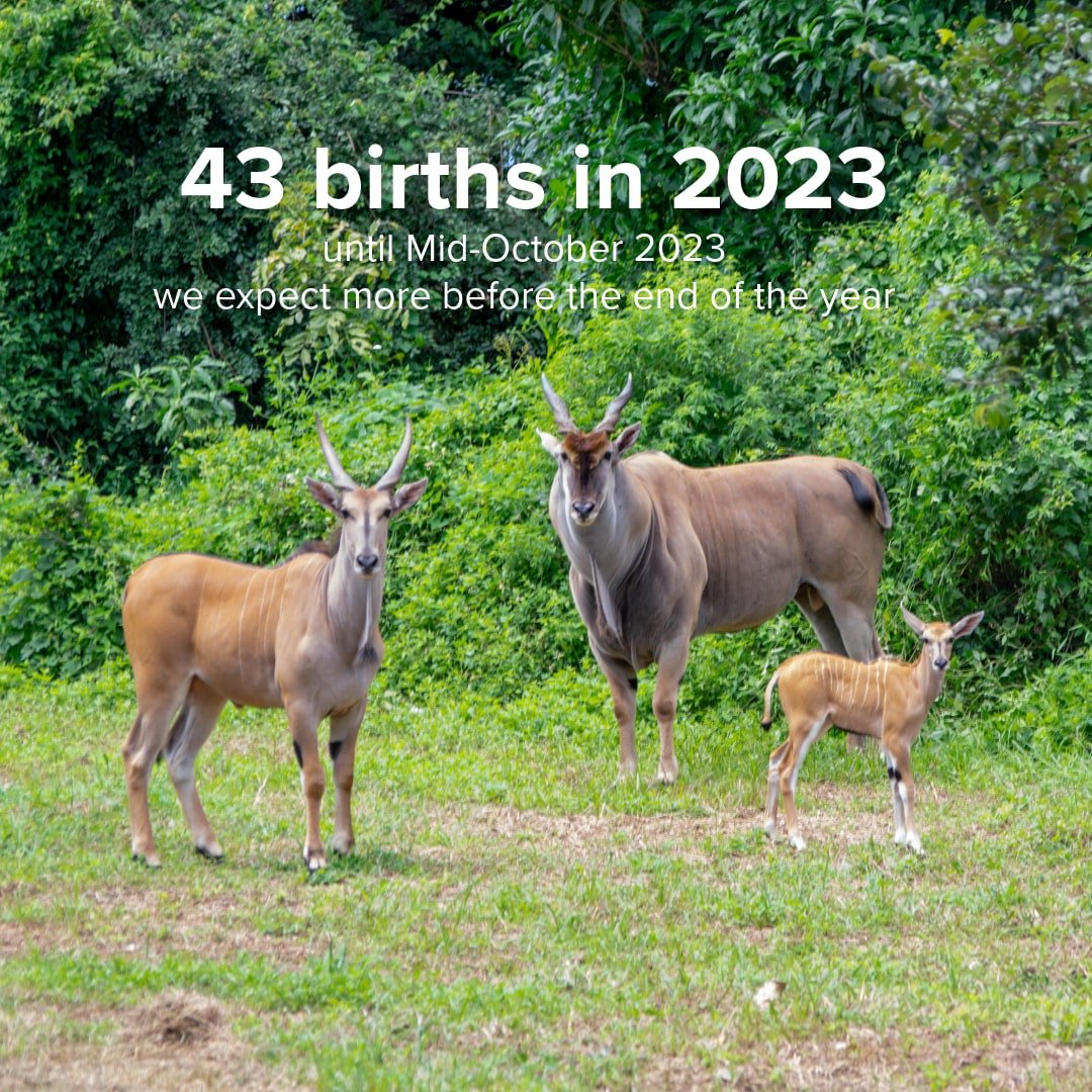 43 births in 2023-min.jpeg