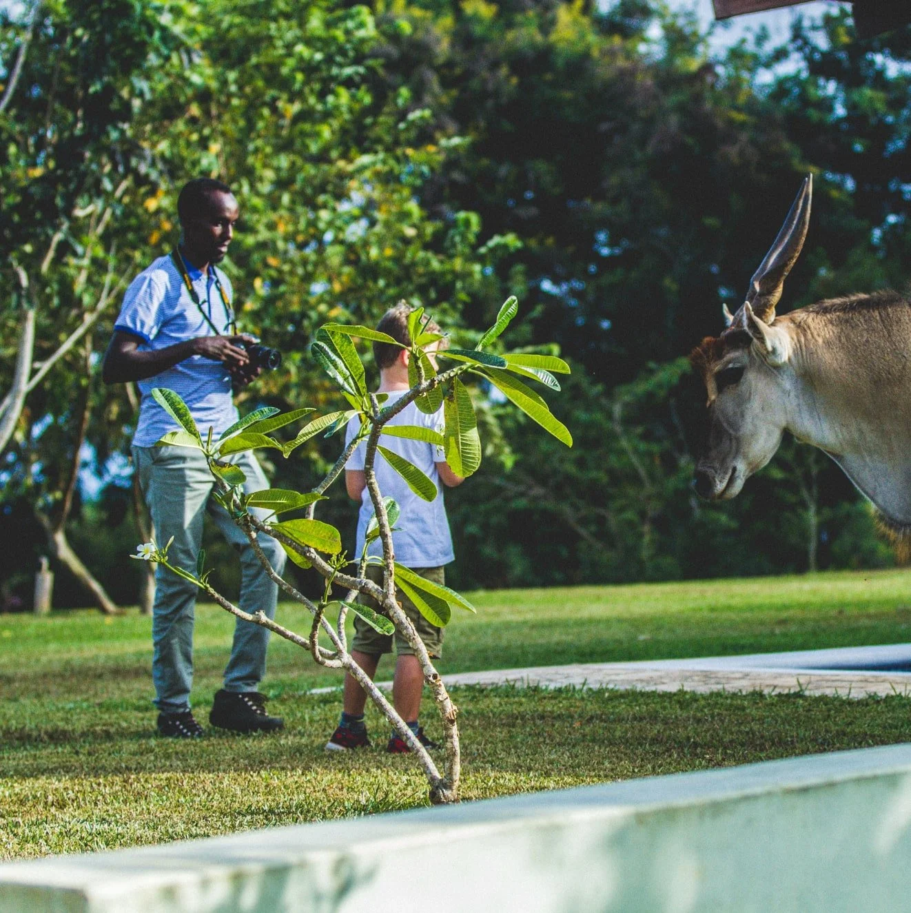 Ranger and Eland triple-min.jpeg