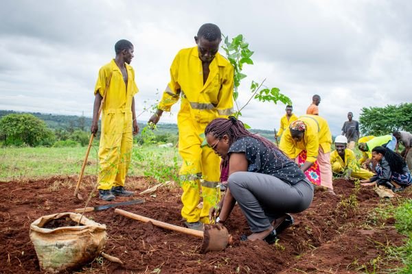 working together planting trees-min.jpg