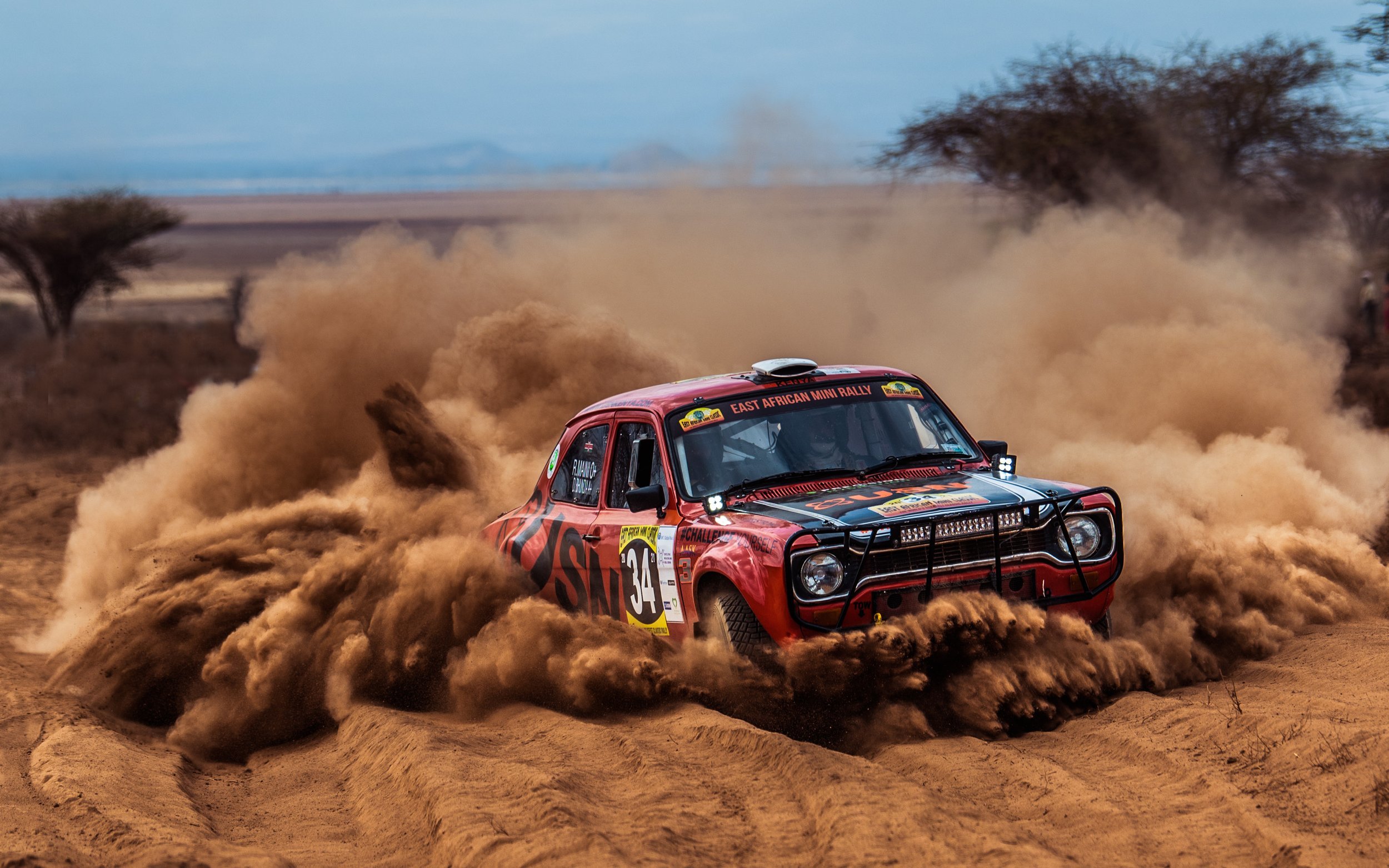 Classic safari rally mini.jpg
