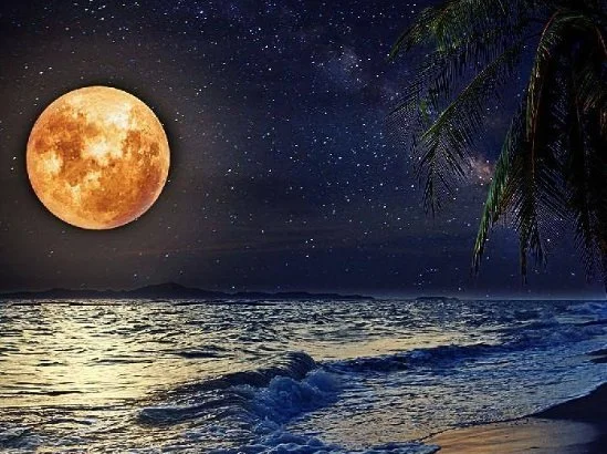 Full Moon Beach Bonfire Party