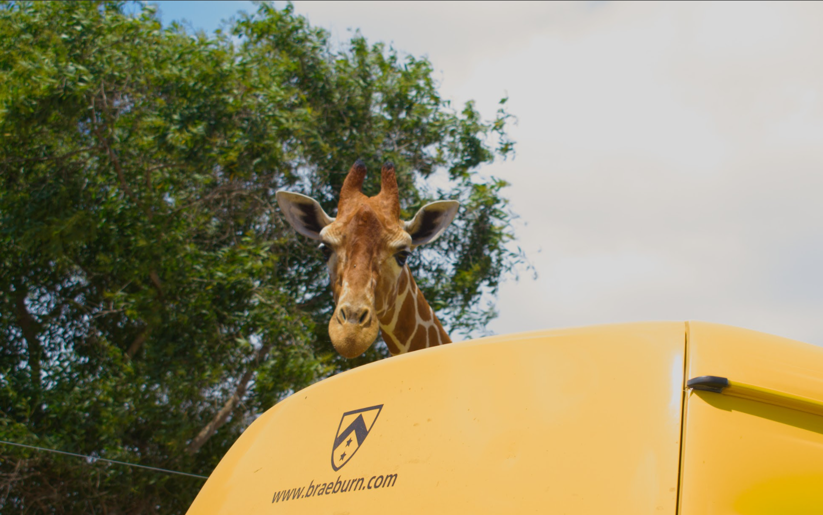 Screenshot 2026-01-21 172615.png