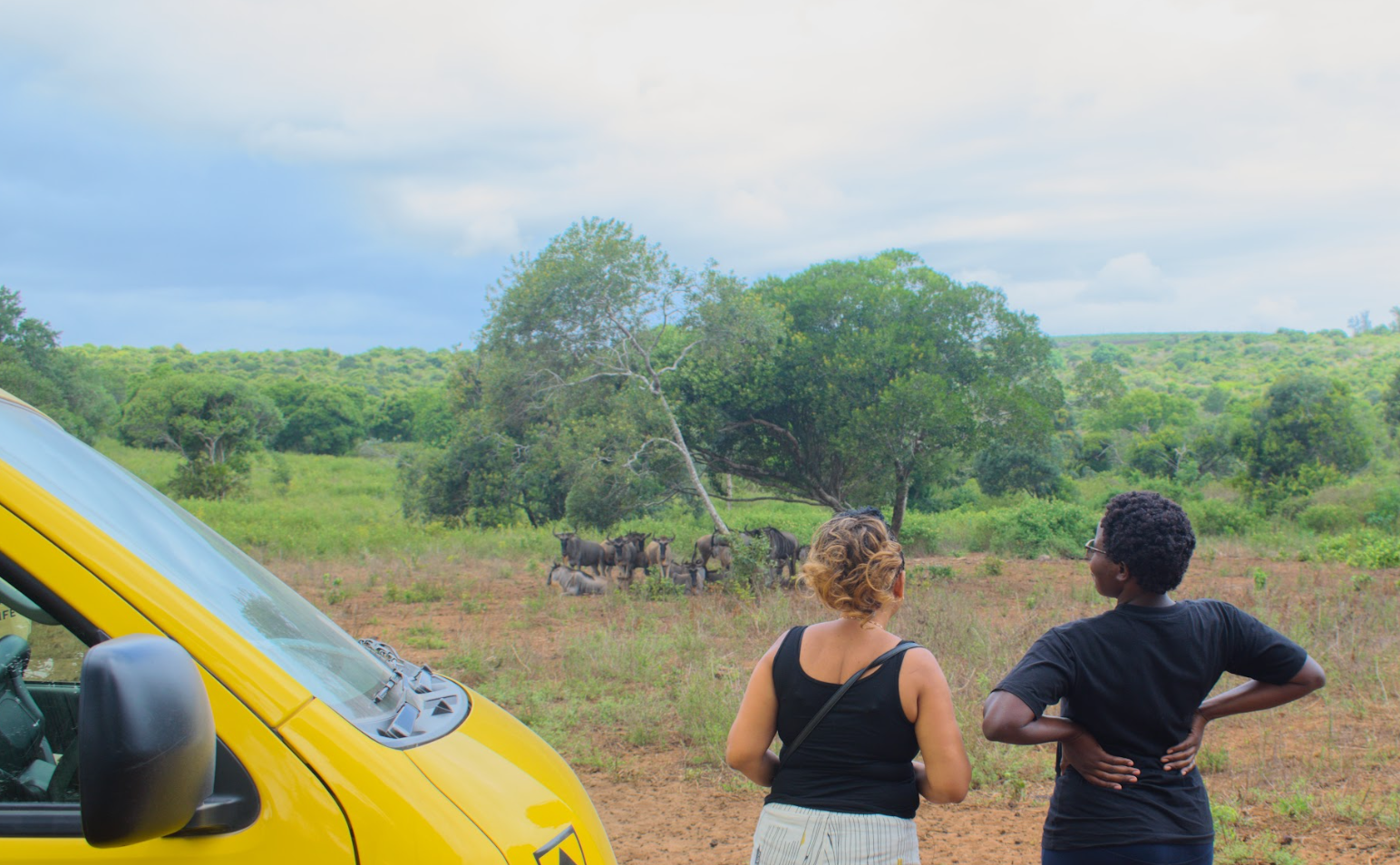 Screenshot 2026-01-21 172541.png