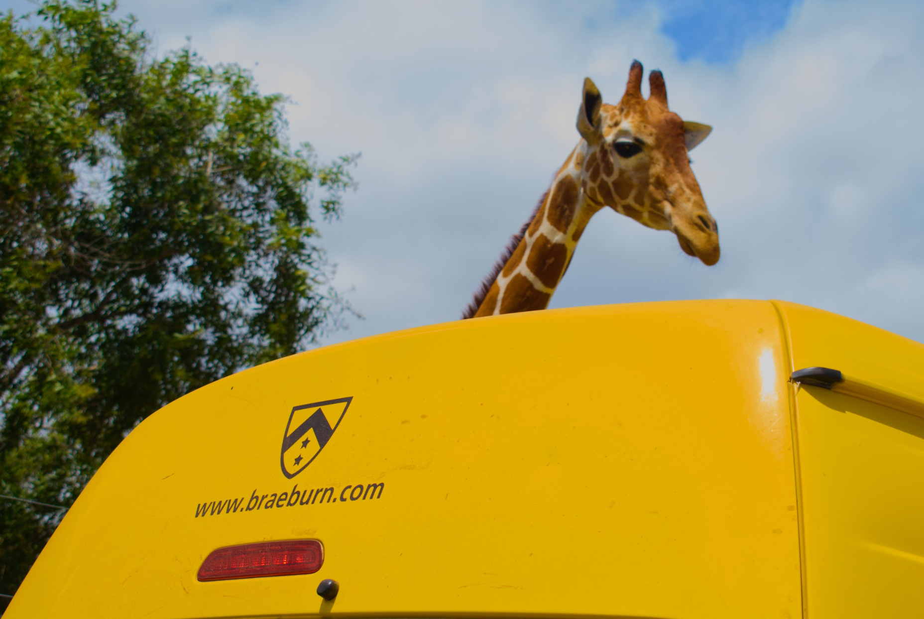 Screenshot 2026-01-21 172517.png