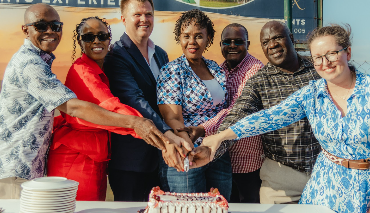 Screenshot 2026-02-17 123011.png