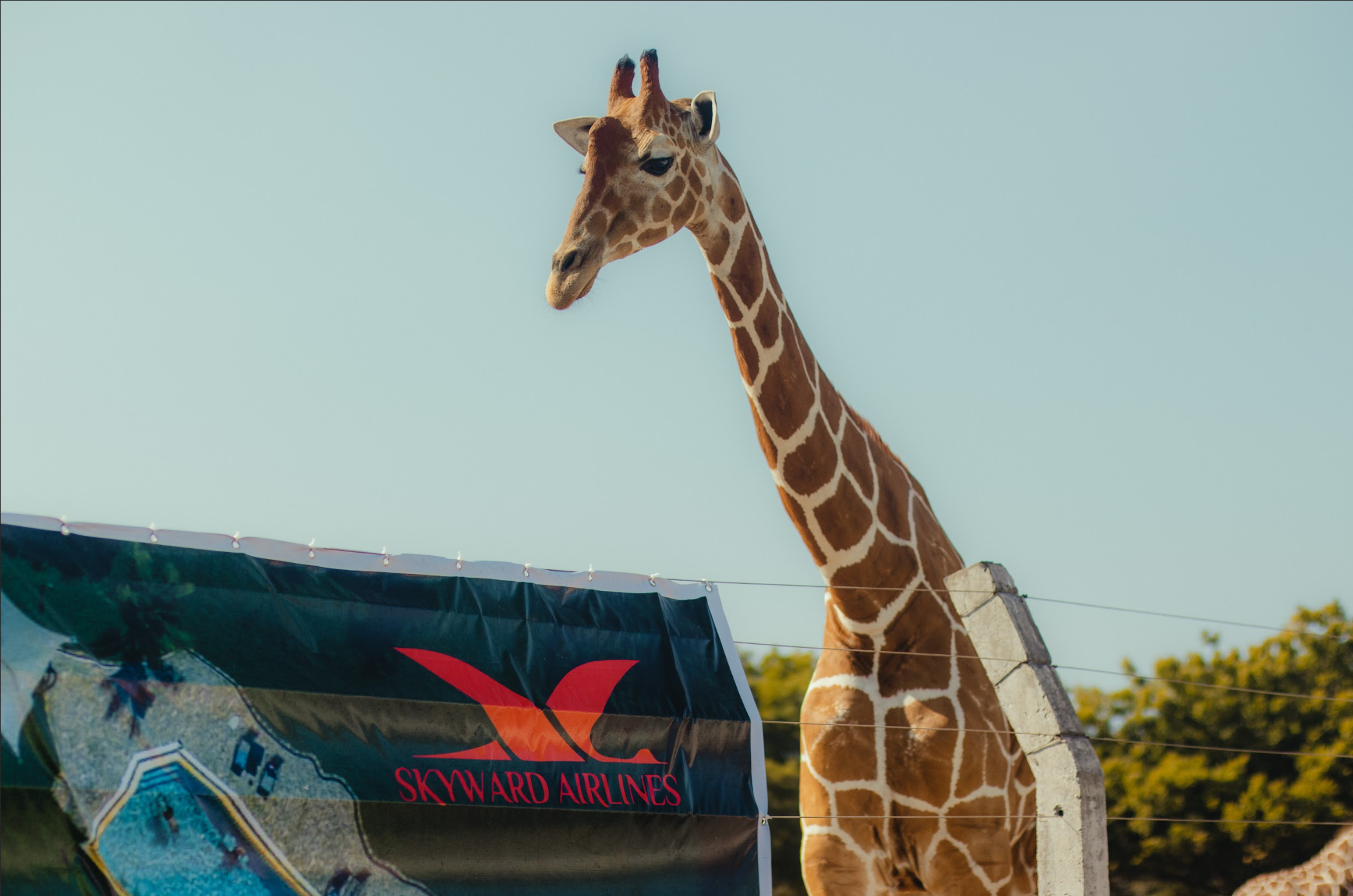 Screenshot 2026-02-16 144730.png