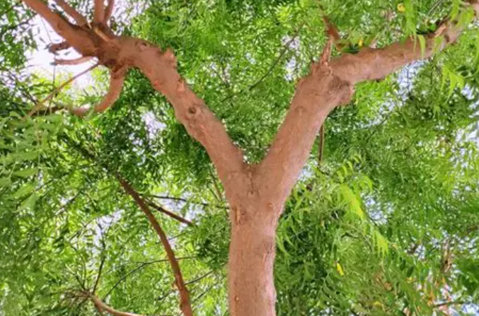 Screenshot 2026-03-02 171013.png