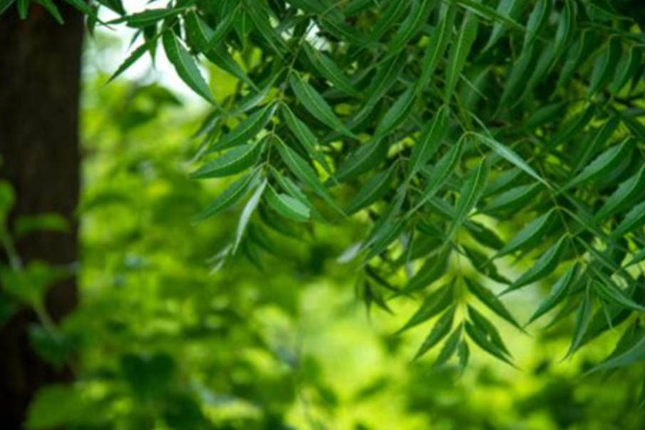 Screenshot 2026-03-02 170935.png