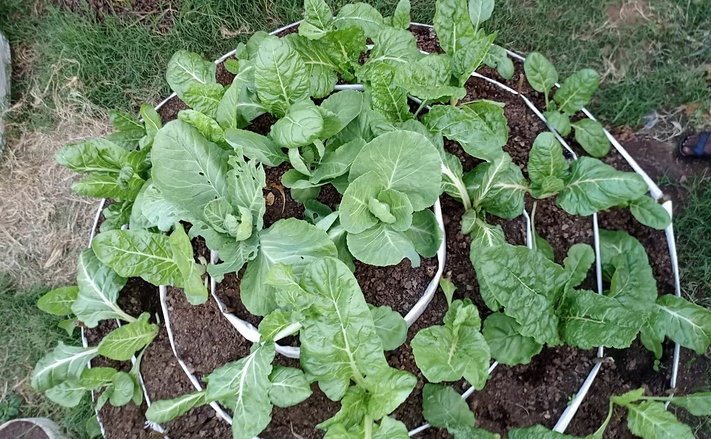 Screenshot 2026-03-02 171809.png