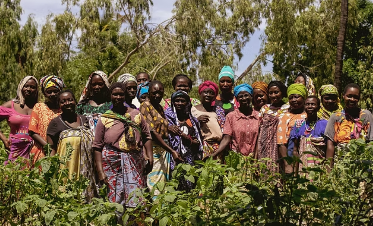 Screenshot 2026-03-02 171738.png