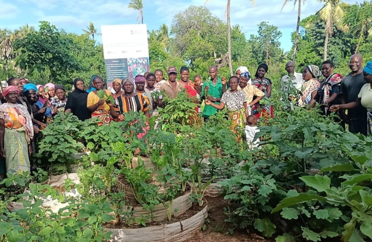 Screenshot 2026-03-02 171721.png