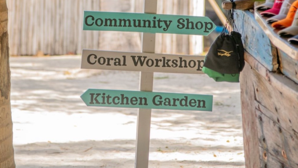 Screenshot 2026-03-02 174134.png