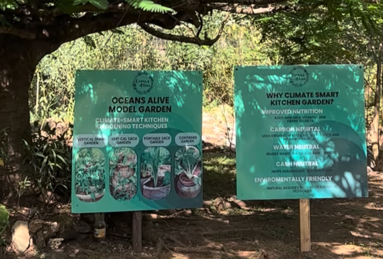 Screenshot 2026-03-02 174117.png