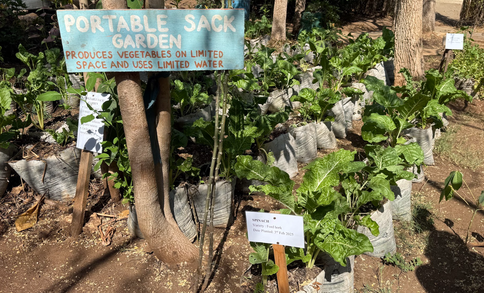 Screenshot 2026-03-02 174147.png