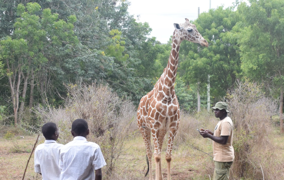 Screenshot 2026-03-09 170653.png