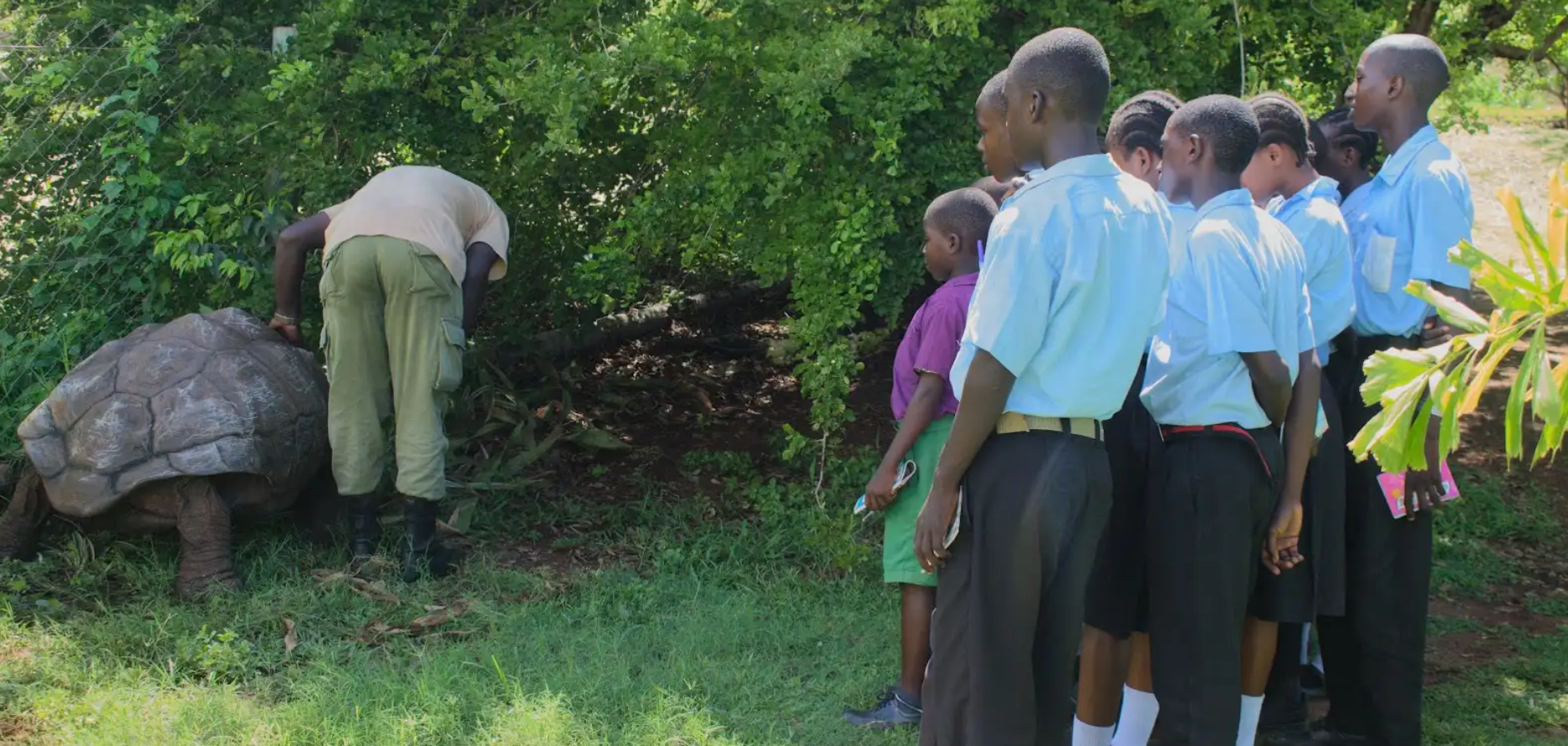 Screenshot 2026-03-30 104819.png