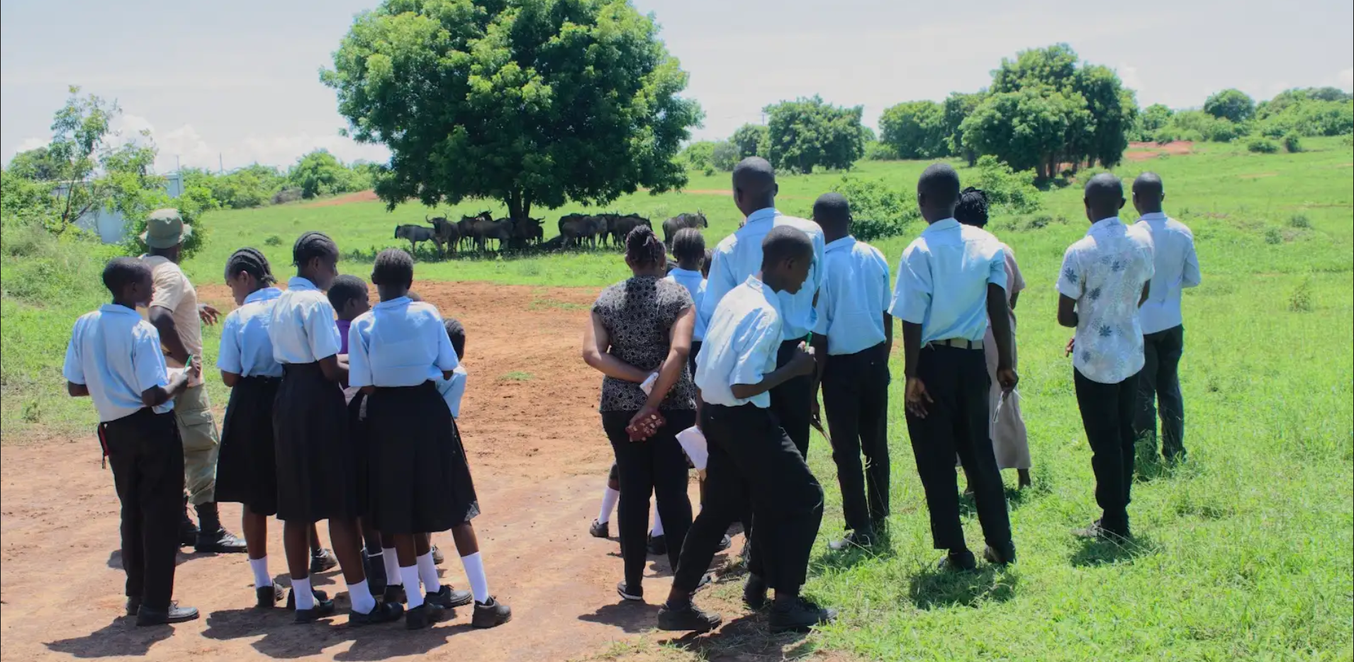 Screenshot 2026-03-30 104755.png