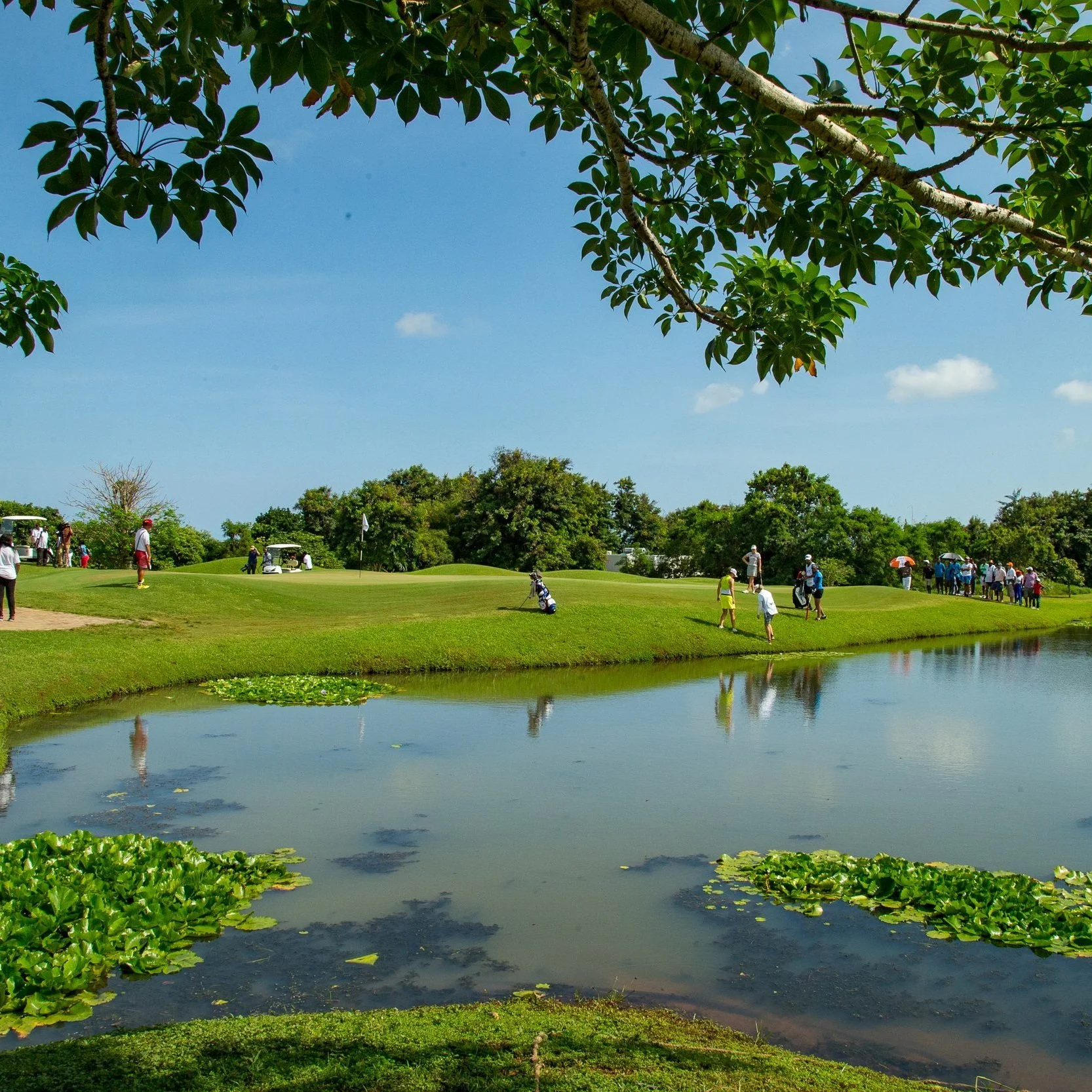 PGA Baobab Course, Vipingo Ridge