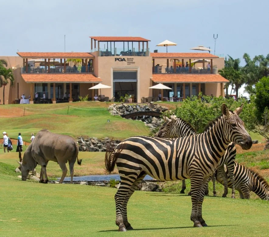 Activities — Vipingo Ridge