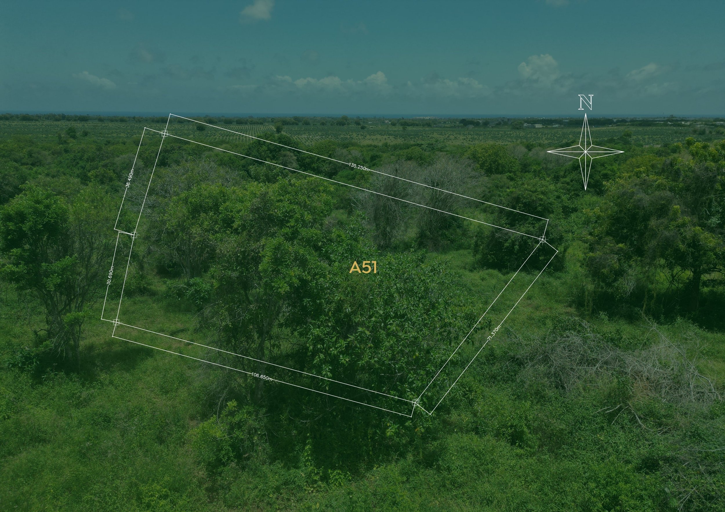 Plot A51-min.jpg