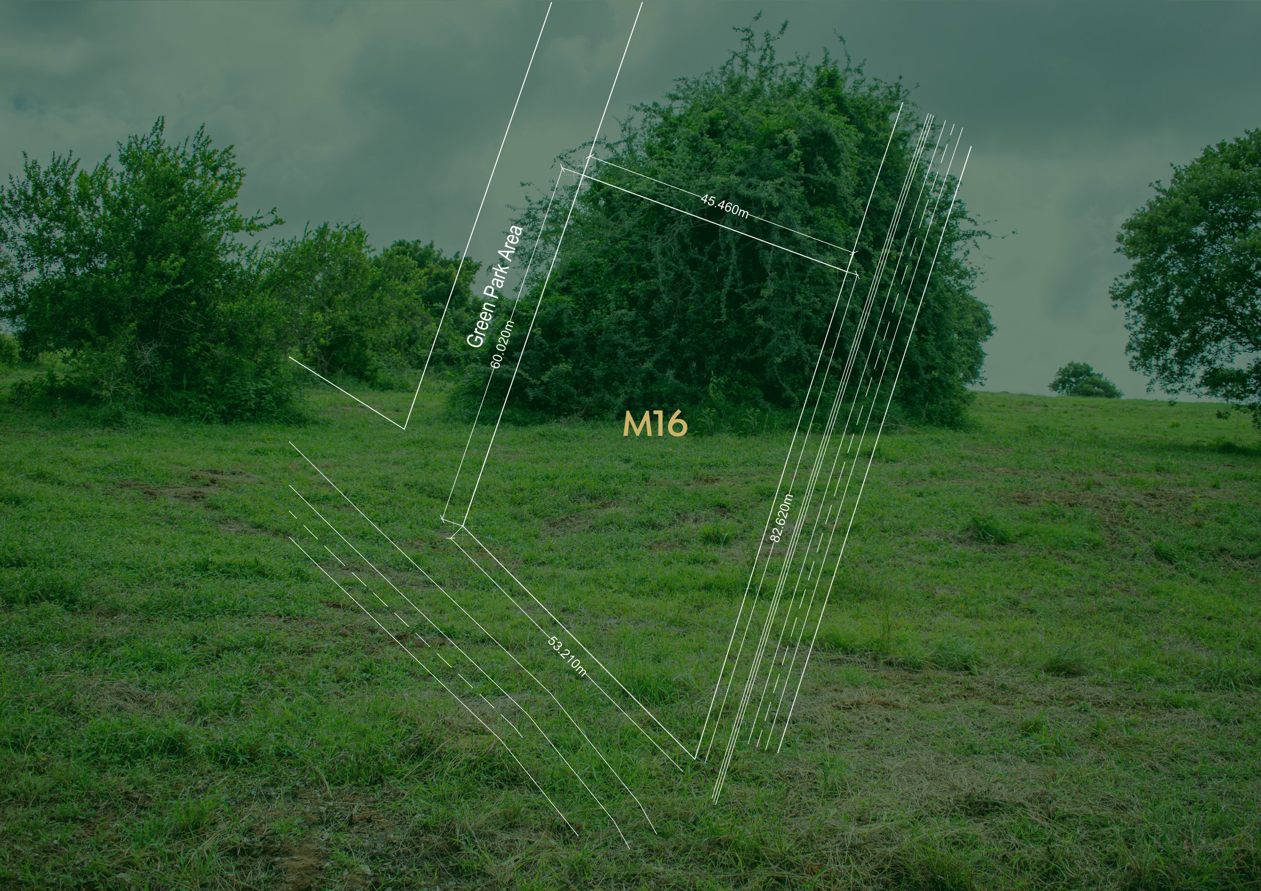 M16.jpg