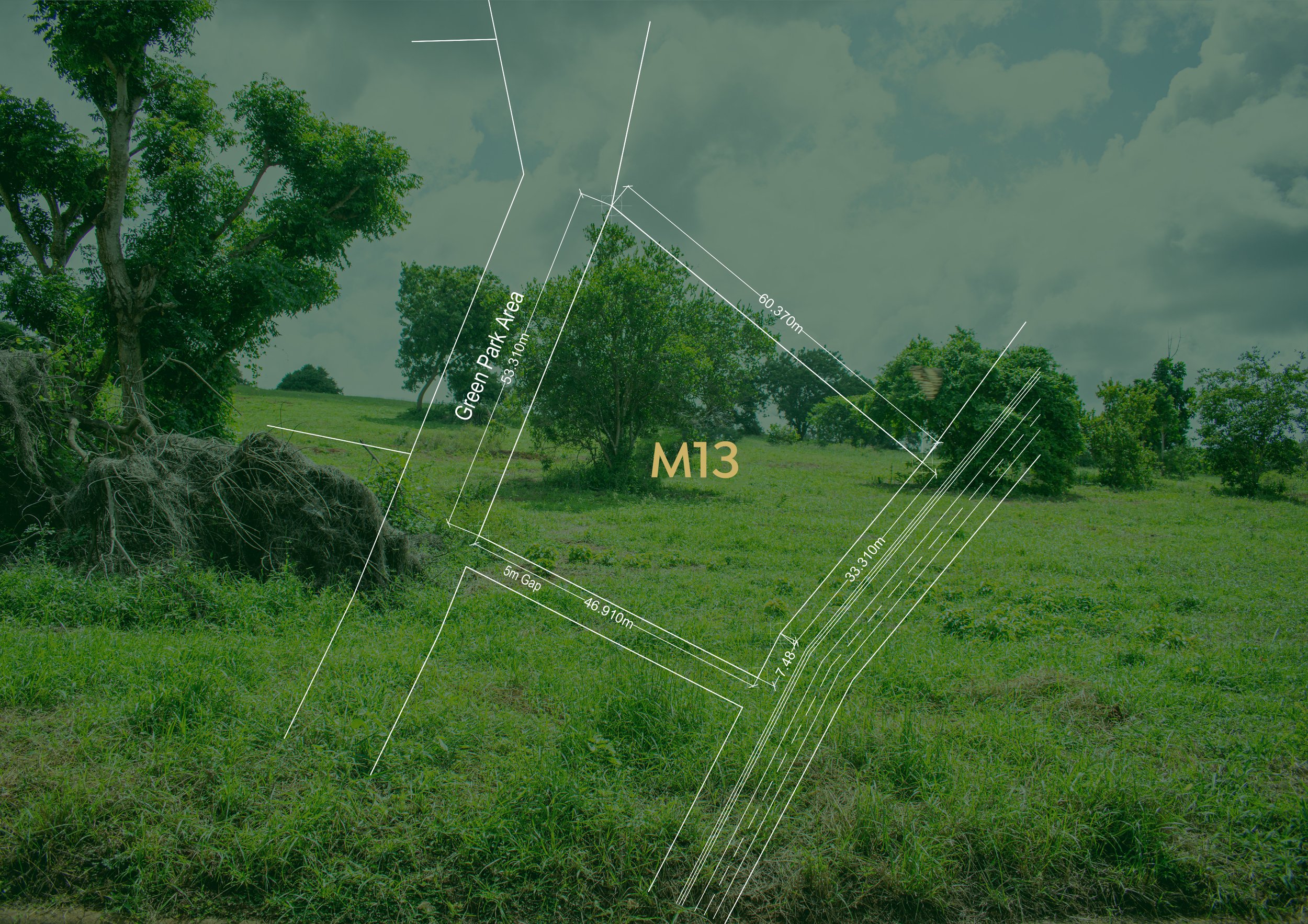 M13.jpg